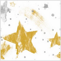 Precious Metals Silver/ Gold Celebration Tissue Paper